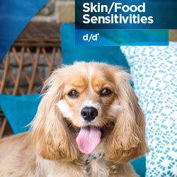 HV_derm_resources_ddpog