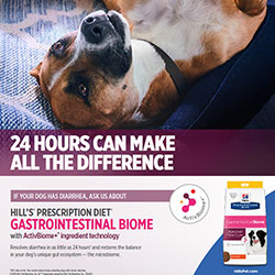 GI 바이옴 반려견 포스터