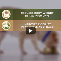 See how Metabolic + Urinary works