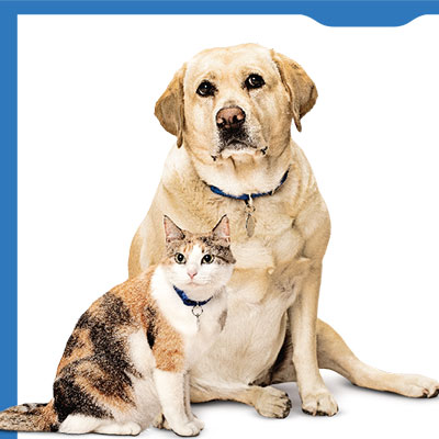 HWP 사용자 설명서