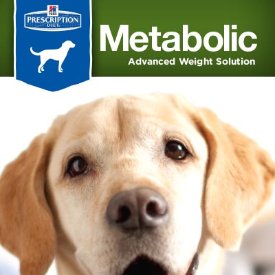 Metabolic Pet Owner Guide