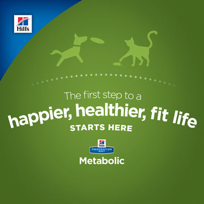 Download Your Digital Bundle