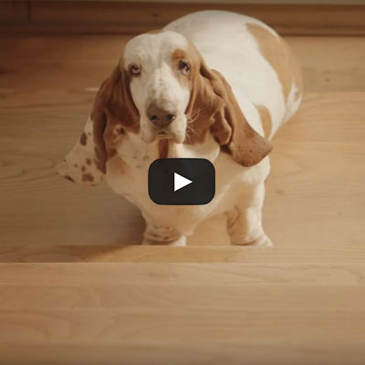 Watch: Not in shape they used to be?