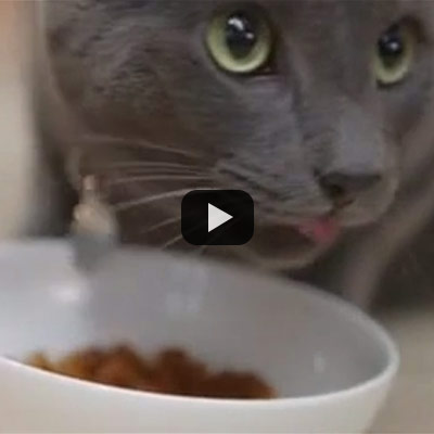 See Metabolic Plus Patient Success