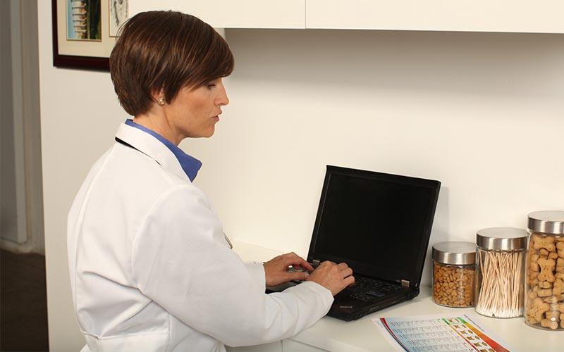 힐스와 콜게이트-파몰리브 내 취업 기회 검색